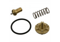 Thermostat, coolant 36844 FEBI