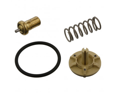 Thermostat, coolant 36844 FEBI