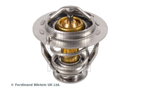 Thermostat, coolant ADBP920000 Blue Print, Image 2