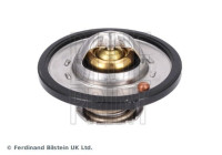 Thermostat, coolant ADBP920015 Blue Print