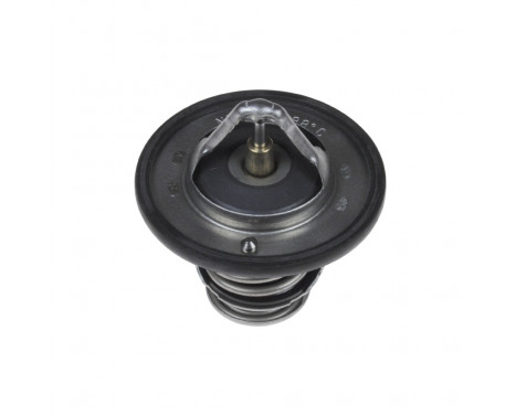 Thermostat, coolant ADC49211 Blue Print