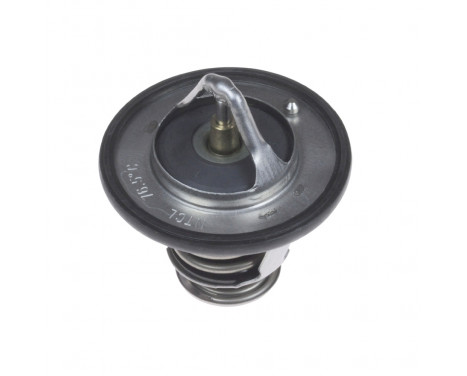 Thermostat, coolant ADC49221 Blue Print