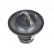 Thermostat, coolant ADC49221 Blue Print