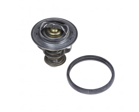 Thermostat, coolant ADG09238 Blue Print