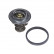 Thermostat, coolant ADG09238 Blue Print