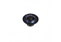 Thermostat, coolant ADG09250 Blue Print