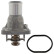 Thermostat, coolant ADG09259 Blue Print