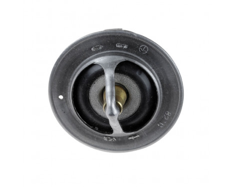 Thermostat, coolant ADN19218 Blue Print