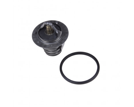 Thermostat, coolant ADT39211 Blue Print