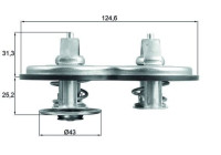Thermostat, coolant BEHR