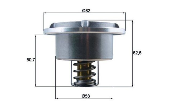 Thermostat, coolant BEHR