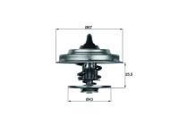 Thermostat, coolant BEHR