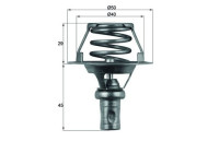 Thermostat, coolant BEHR