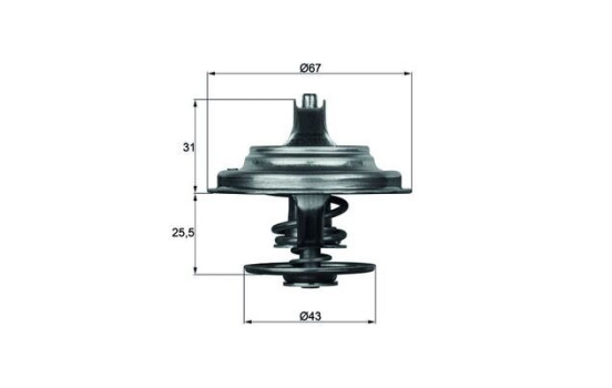 Thermostat, coolant BEHR