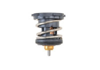 Thermostat, coolant BEHR