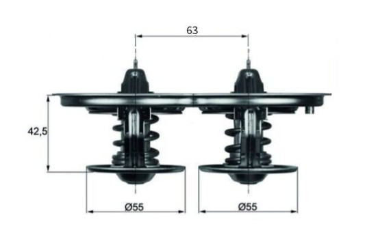 Thermostat, coolant BEHR