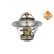 Thermostat, coolant EASY FIT, Thumbnail 5