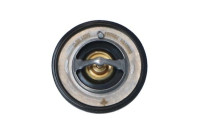 Thermostat, coolant EASY FIT