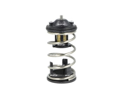 Thermostat, coolant EASY FIT