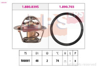 Thermostat, coolant Made in Italy - OE Equivalent