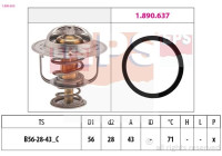 Thermostat, coolant Made in Italy - OE Equivalent