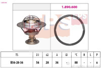 Thermostat, coolant Made in Italy - OE Equivalent