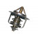 Thermostat, coolant TH-4508 Kavo parts