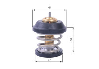 Thermostat, coolant TH42995G1 Gates