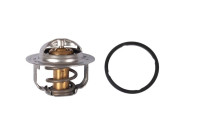 Thermostat, coolant TH52591G1 Gates