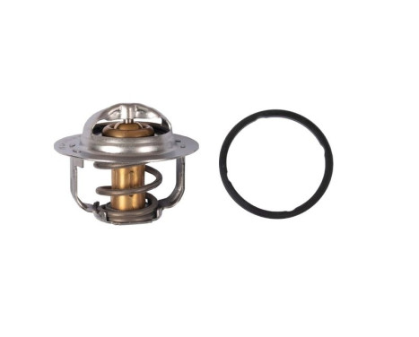 Thermostat, coolant TH52591G1 Gates
