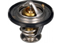 Thermostat, coolant TH56189G1 Gates