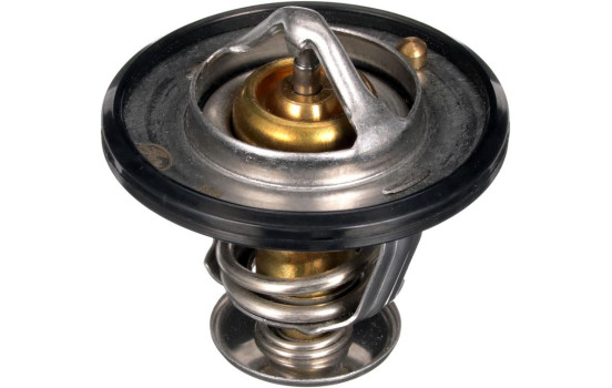 Thermostat, coolant TH56189G1 Gates