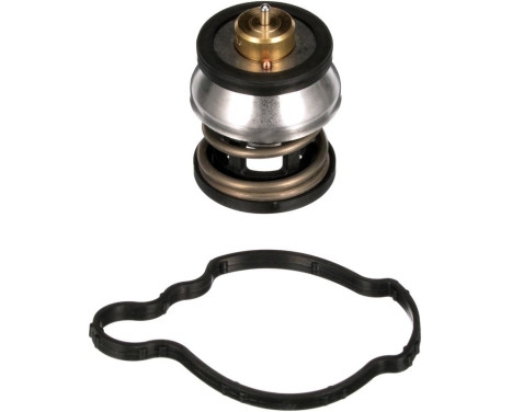 Thermostat, coolant TH64187G1 Gates