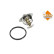 Thermostat, coolant