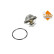 Thermostat, coolant