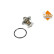 Thermostat, coolant