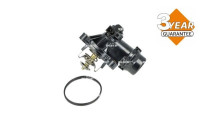 Thermostat, coolant
