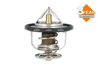Thermostat, coolant