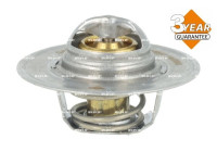Thermostat, coolant