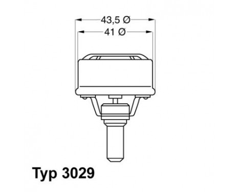 Thermostat, coolant