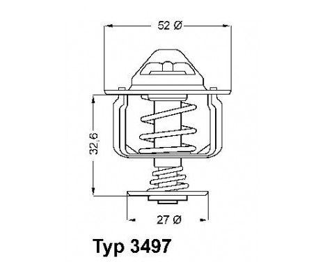 Thermostat, coolant