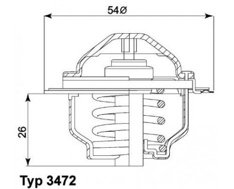 Thermostat, coolant