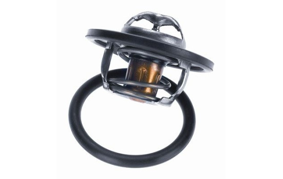 Thermostat, coolant, Image 2