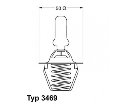 Thermostat, coolant