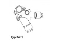 Thermostat, coolant