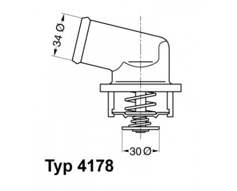 Thermostat, coolant