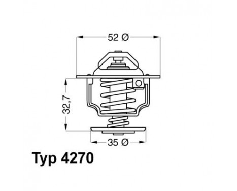 Thermostat, coolant