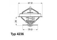 Thermostat, coolant