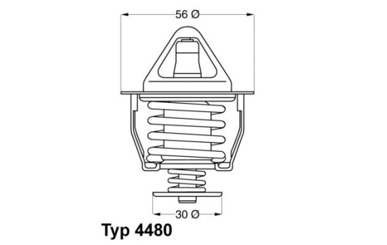 Thermostat, coolant