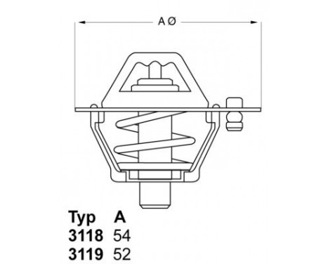 Thermostat, coolant